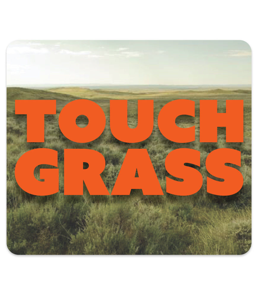 TOUCH GRASS MAGNET